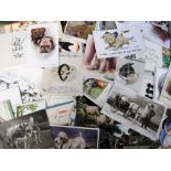 Ephemera, 100+ mixed period greetings cards and postcards featuring cats, dogs, horses and other