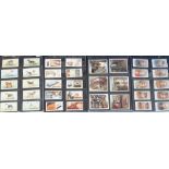 Cigarette cards, a large and interesting collection of cigarette card sets contained in 8 albums,