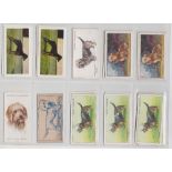 Cigarette & Trade Cards, folder containing an accumulation of dog related cards from many