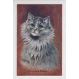 Postcard, Louis Wain, Cats, 'Chinchilla Persian' published by C W Faulkner & Co (sl foxing to back ,