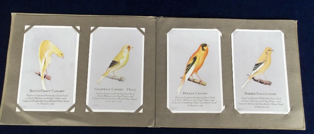 Trade cards, Capern's, Cage Birds 'P' size (48/54 in special Capern's corner mount album) (gd/vg)