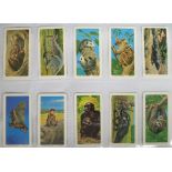 Trade cards, Brooke Bond, (Canada), a collection of 18 sets, inc Birds of North America, Canadian/