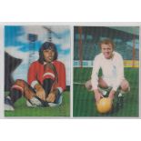 Trade cards, The Sun, 3D Gallery of Football Stars, 'P' size (set, 50 cards) (vg)