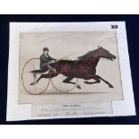 Cigarette Card, USA, Kinney, Great American Trotters, premium issue in exchange for coupons, type