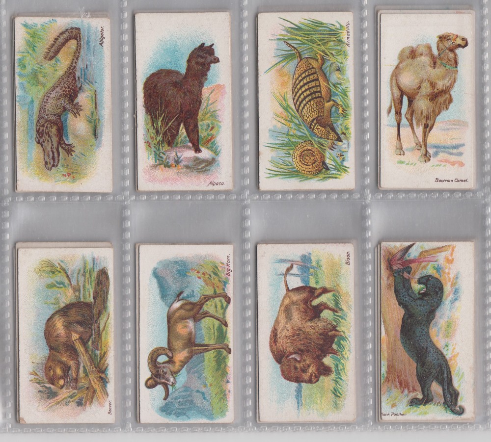 Cigarette cards, Wills, Wild Animals of the World (green scroll back) (set, 50 cards) (gen gd)