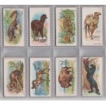 Cigarette cards, Wills, Wild Animals of the World (green scroll back) (set, 50 cards) (gen gd)