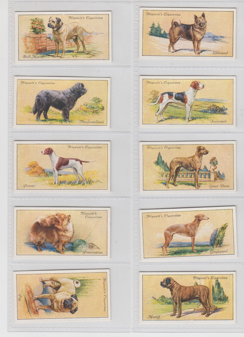 Cigarette Cards, Hignett's, Dogs (set, 50 cards) (end cards fair, rest vg)