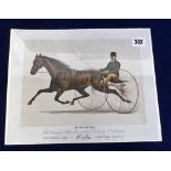 Cigarette Card, USA, Kinney, Great American Trotters, premium issue in exchange for coupons, type