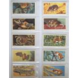 Trade cards, an album containing a quantity of part-sets and odd's from many different series and