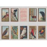 Cigarette cards, USA, ATC, Bird Series, 60 cards mixed series, (gen gd)