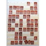 Stamps, GB, used definitive collection in stock book, QV onwards with many penny reds, also some