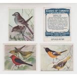 Cigarette cards, ITC (Canada), Birds of Canada, 'X' size (set, 100 cards) (some with light