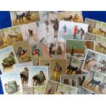 Tony Warr Collection, Ephemera, Monkeys, 25 Victorian and early 20thC greetings cards featuring