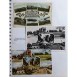 Postcards, Surrey, a collection of postcards, pictures and ephemera contained in 3 albums, all