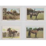 Trade cards, selection Anglo - American Chewing Gum The Horse (set, 66 cards) sold with Typhoo