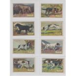 Trade cards, Peterkin, English Sporting Dogs, 'M' size, (set 8 cards all with 'Peterkin Jelly