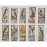 Trade cards, Canada, Canadian Chewing Gum Co, Bird Studies, (40 cards plus 12 variations (mixed