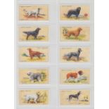 Cigarette cards, Ogden's, Dogs (set 50 cards) (ex)