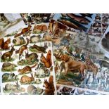 Tony Warr Collection, Ephemera, Victorian Animal Scraps, to include rabbits, dogs, frogs,