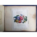 Tony Warr Collection, Ephemera, Large Format Victorian Scrap Album of 25 pages laid down double