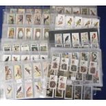 Cigarette & Trade Cards, a large collection of 1000+ bird related cards, sets, part sets & odds many
