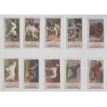 Cigarette cards, Edwards, Ringer & Bigg, Dog Series (Klondyke back) (set, 23 cards) (gd/vg)