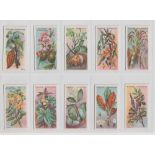 Cigarette cards, Player's, Useful Plants and Fruits (set, 50 cards) (vg)