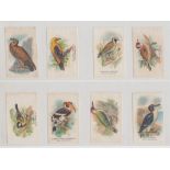 Tobacco silks, Phillips, Birds, 'M' size (set, 100 silks) (fair/gd)