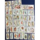 Cigarette cards, 3 fish related sets, Players Fishes of the World (50 cards), Aquarium Studies 'L'