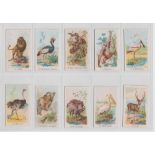 Cigarette cards, BAT, Chinese Language issue, Animals & Birds, ref ZE6-0, (set, 50 cards) (gen gd)