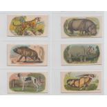 Cigarette cards, ITC (Canada), Millbank Cigarettes), Animals, all 'Printed in England, 3971' on