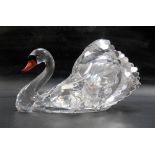 Large Swarovski swan with orange and red blush and black glass beak and eyes, width 18cm, with box.