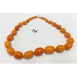 Good butterscotch amber oval graduated bead necklace with rose gold clasp, length 56cm, weight 68.6g