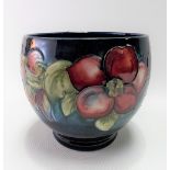 Moorcroft pottery ovoid vase, tube line decorated with an anemone upon a blue ground, impressed