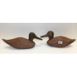 Two carved wood duck decoys, the largest 33cm wide.