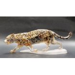 Swarovski glass leopard with gilt lustre spots, width 17cm.