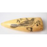 19th Century scrimshaw sperm whale tooth, engraved on one side with a bird on a branch, the
