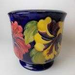 Moorcroft Pottery tube lined jardiniere decorated with flowers upon a dark blue ground, painted