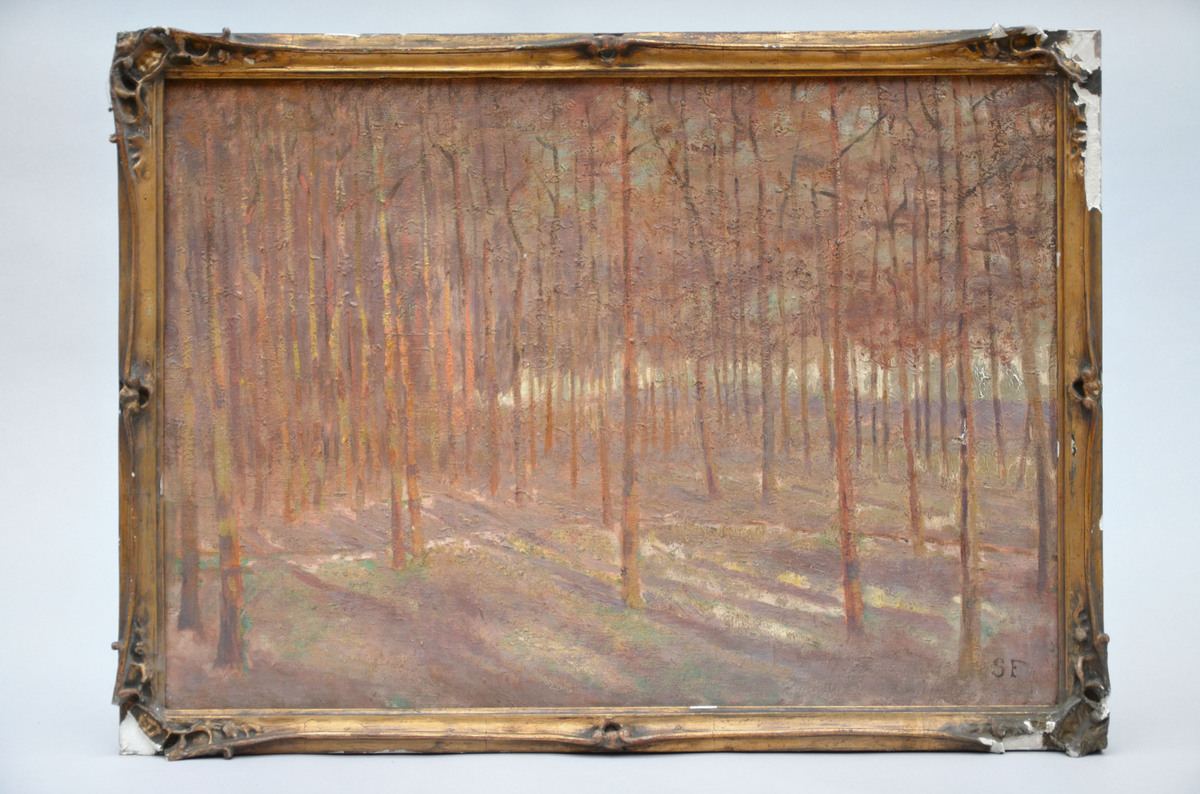 Monogram SF: painting (o/c) 'forest' (70x50cm)