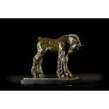 Domien Ingels: bronze sculpture 'foal' (foundry Vindevogel) (11x20x20cm)