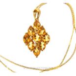 a Citrine Pendant Necklace.