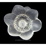 Lalique Glass Anemone Paperweight, 1980s