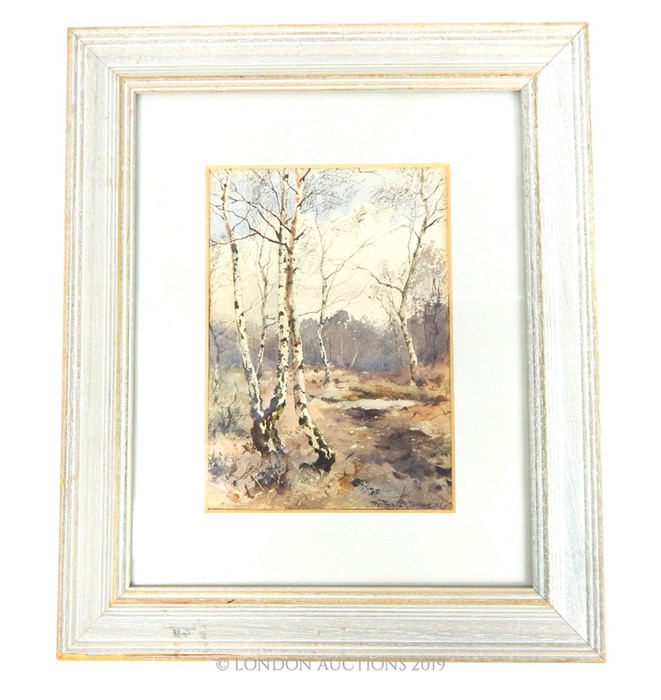 Watercolour Of A Natural Scene "Silver Birch" By Reginald Jones, Dated 1885