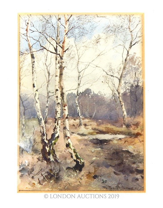 Watercolour Of A Natural Scene "Silver Birch" By Reginald Jones, Dated 1885 - Image 2 of 4