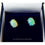 A pair of Ethiopian opal studs.