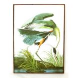 A Large Print of a Stork.