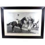 A Large Photo of a Polo Player.