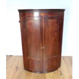 George III Mahogany Cupboard.