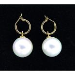 A Natural Australian White Pearl Shell Drop Earrings.