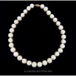 Natural Pearl Necklace with 14 Carat Clasp.